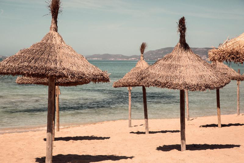 Caramelo Palma Beach 3