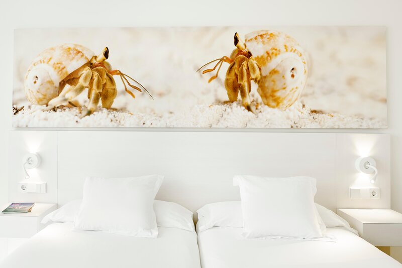 Iberostar Waves Cristina 34