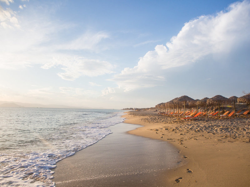 Plaza Beach 11