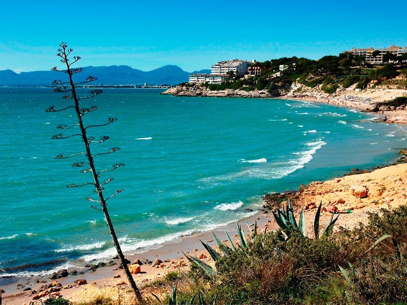 TUI SUNEO Villa Dorada 6