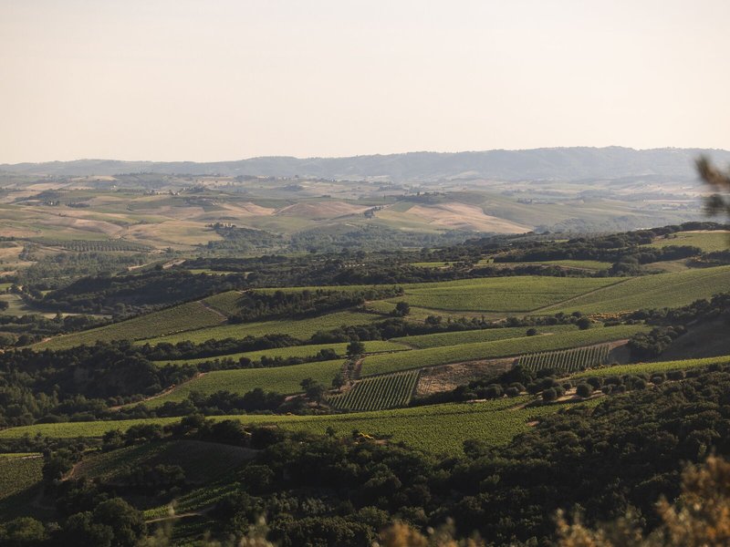 Castello Di Velona 8