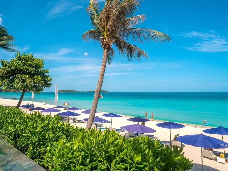 Synergy Samui 9