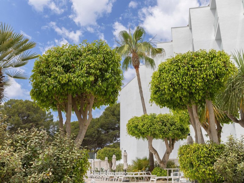 Palmira Isabela demnächst whala!Isabela 2