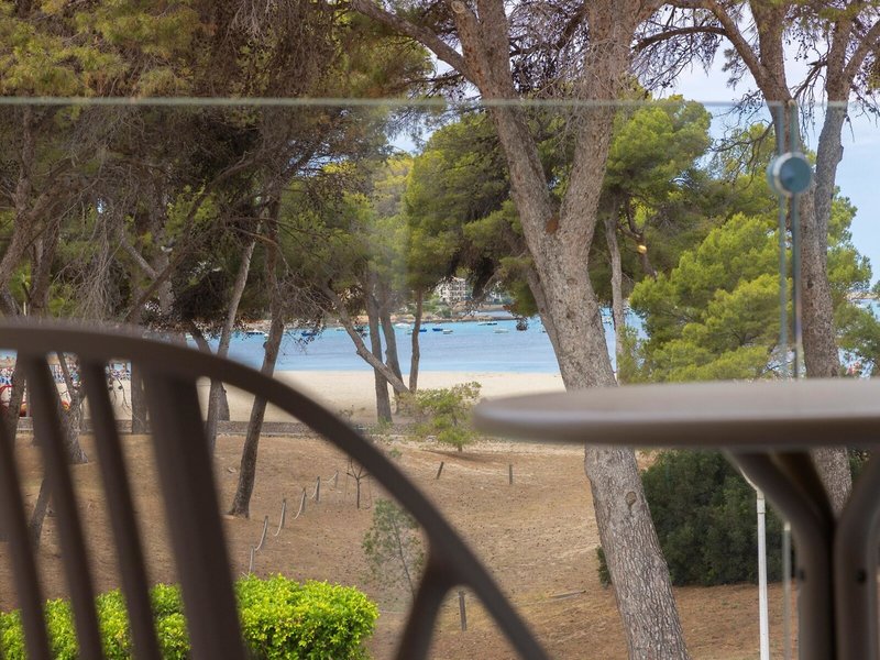 Palmira Isabela demnächst whala!Isabela 34