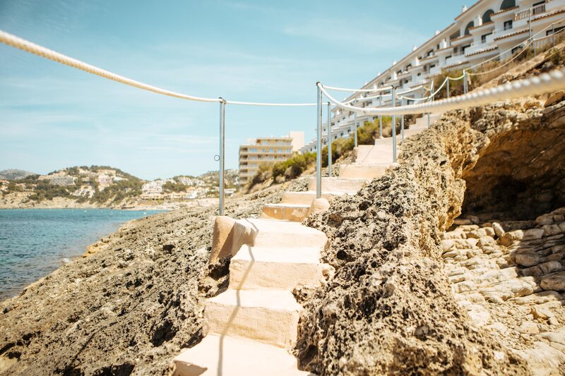Sentido Fido Punta del Mar 36