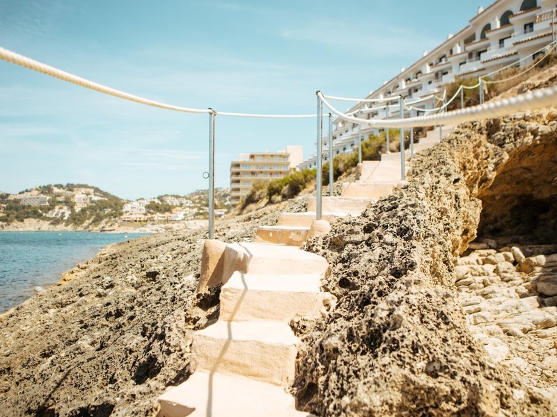 Sentido Fido Punta del Mar 3