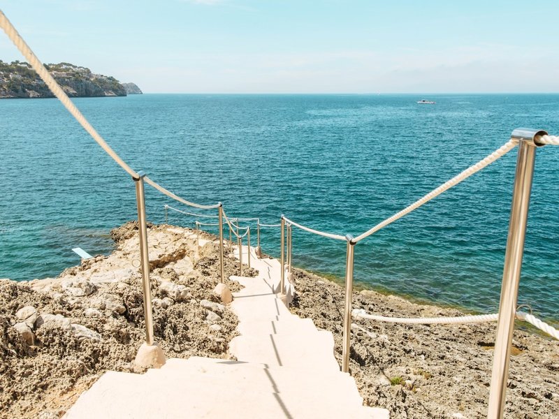 Sentido Fido Punta del Mar 4