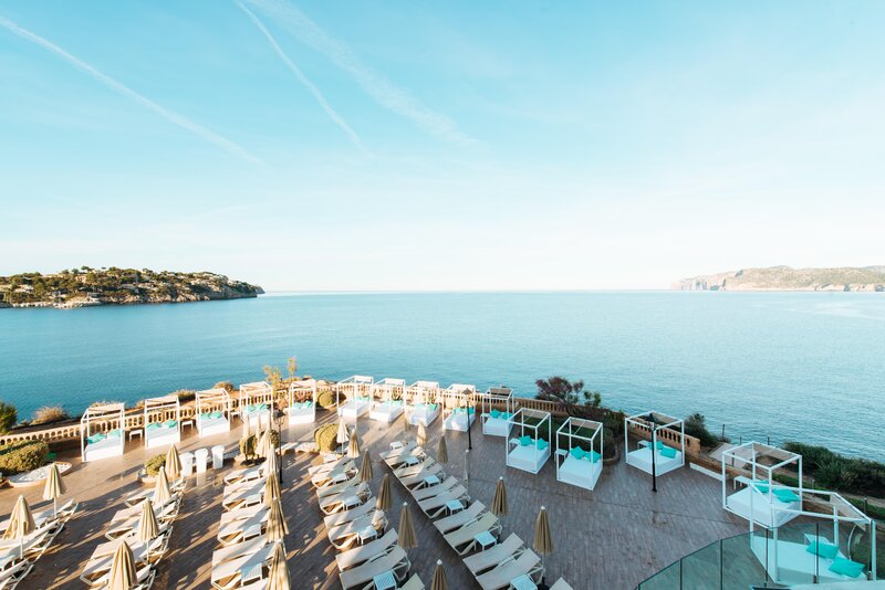 Sentido Fido Punta del Mar 31