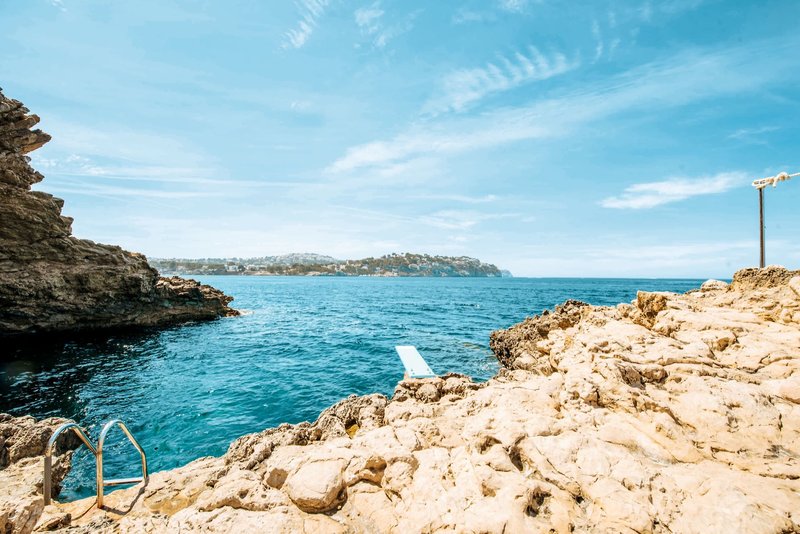 Sentido Fido Punta del Mar 3