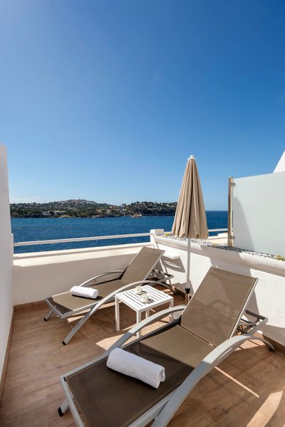 Sentido Fido Punta del Mar 24