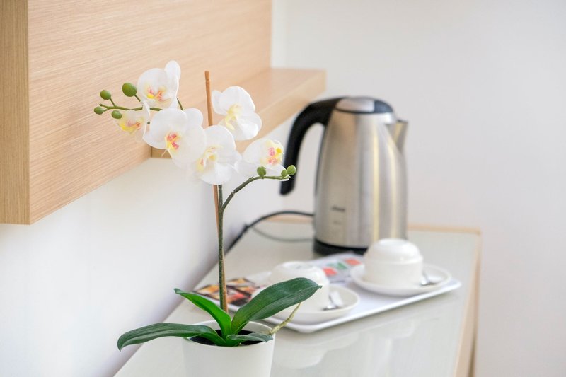 Sentido Fido Punta del Mar 28