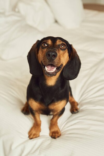 SEASUN Fona - Erwachsenenhotel  69