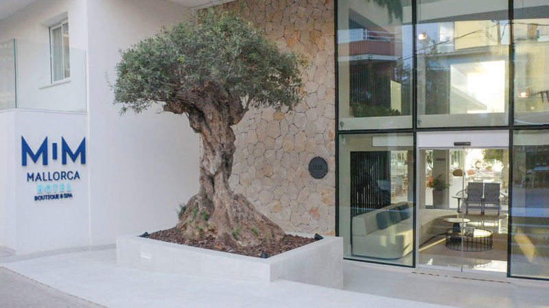MiM Mallorca 12
