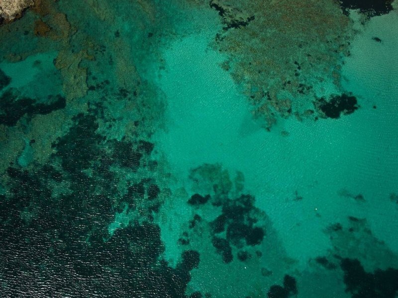 Hotel Son Caliu Spa Oasis 9