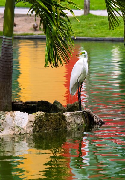 Caribe Club Princess Beach Resort & Spa 47