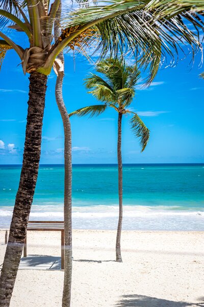 Caribe Club Princess Beach Resort & Spa 60