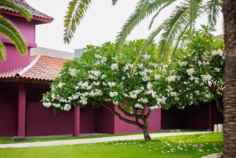 Caribe Club Princess Beach Resort & Spa 79