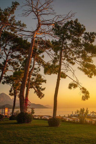 Akra Kemer 55