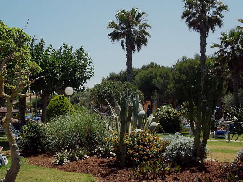 Sagitario Princesa Playa 5