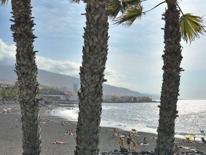 Sol Puerto de La Cruz Tenerife  5