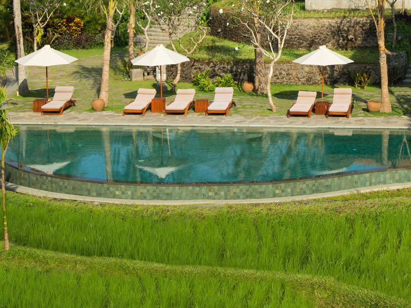 Alaya Resort Ubud 8