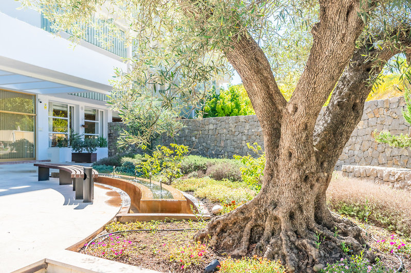 Canyamel Park Hotel & Spa 14