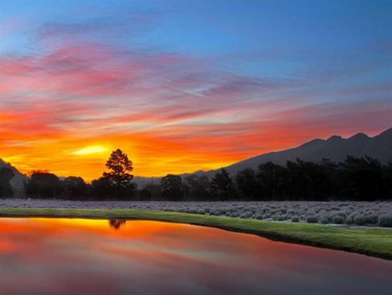 Lavender Farm Guest House 2