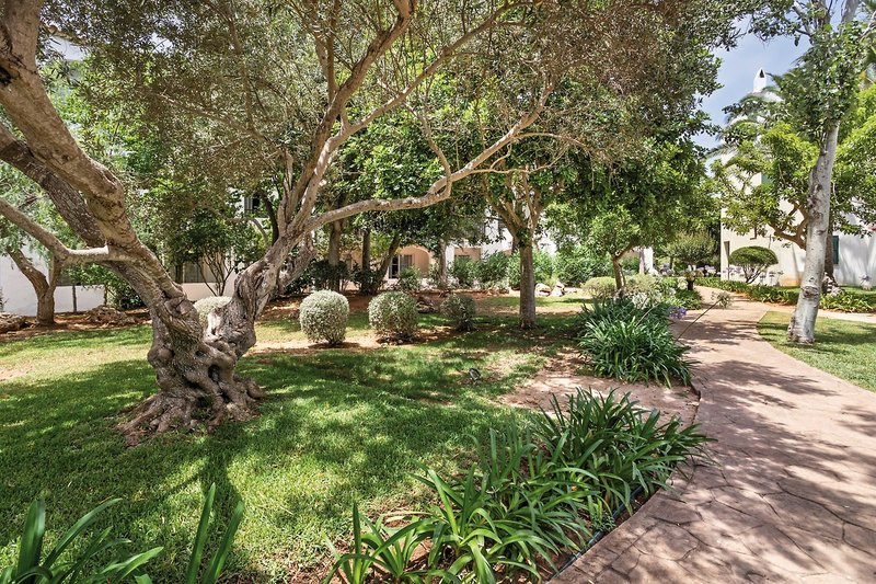 Sol Falcó Menorca 7