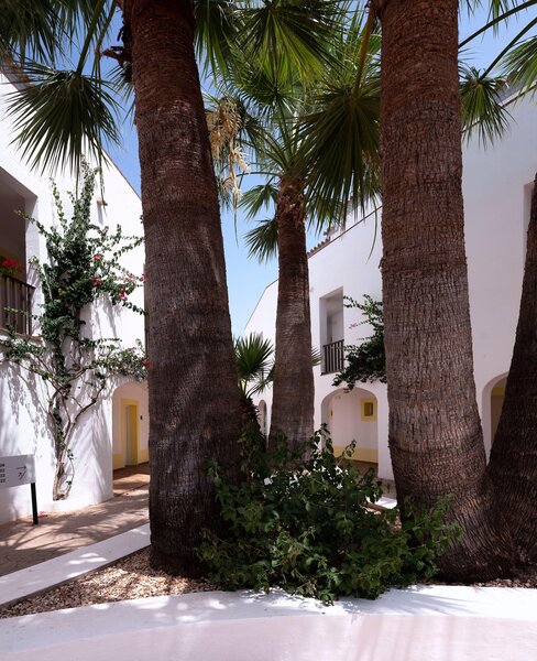 Sol Falcó All Inclusive 46