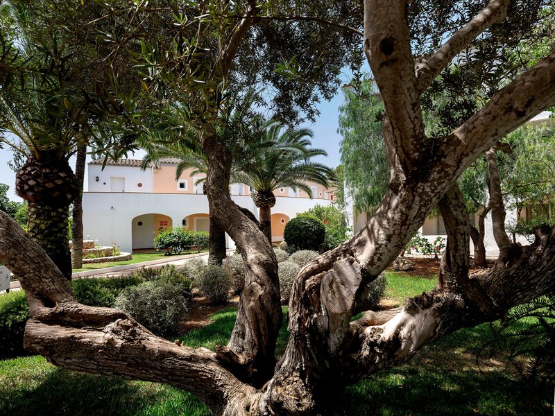 Sol Falcó Menorca 40