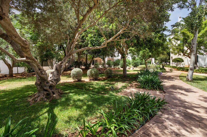 Sol Falcó Menorca 113