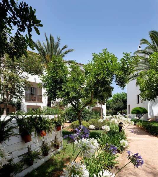 Sol Falcó Menorca 96