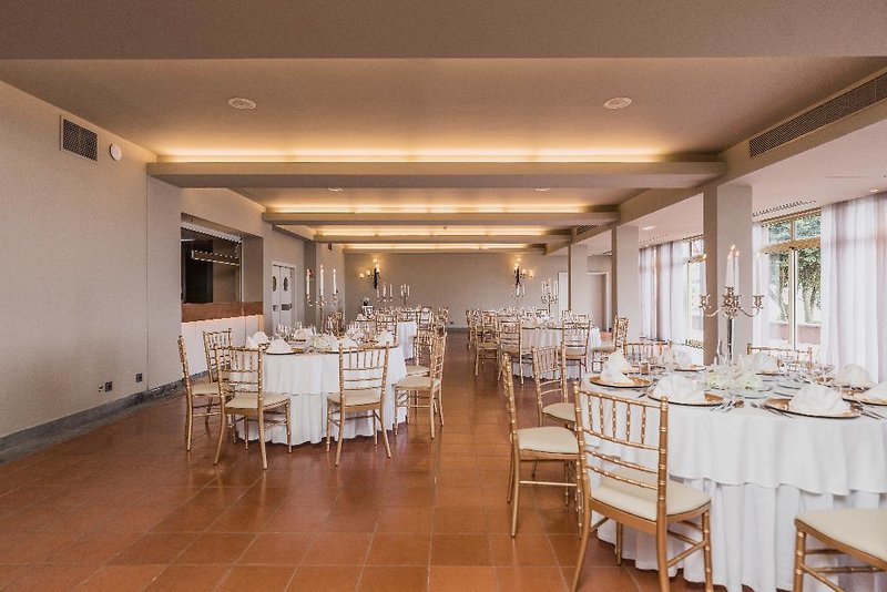 The Lince Nordeste 3