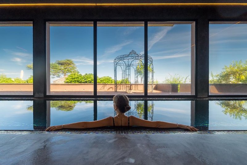 The Lince Nordeste 5