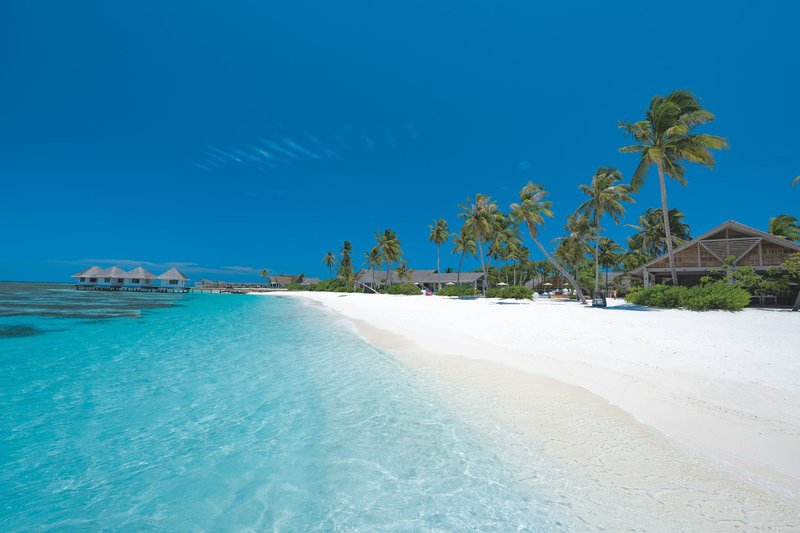 Cora Cora Maldives 4