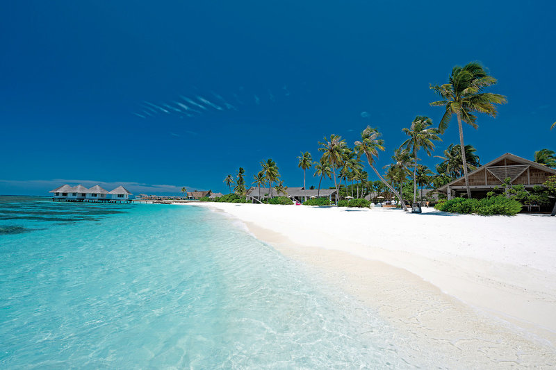 Cora Cora Maldives 50