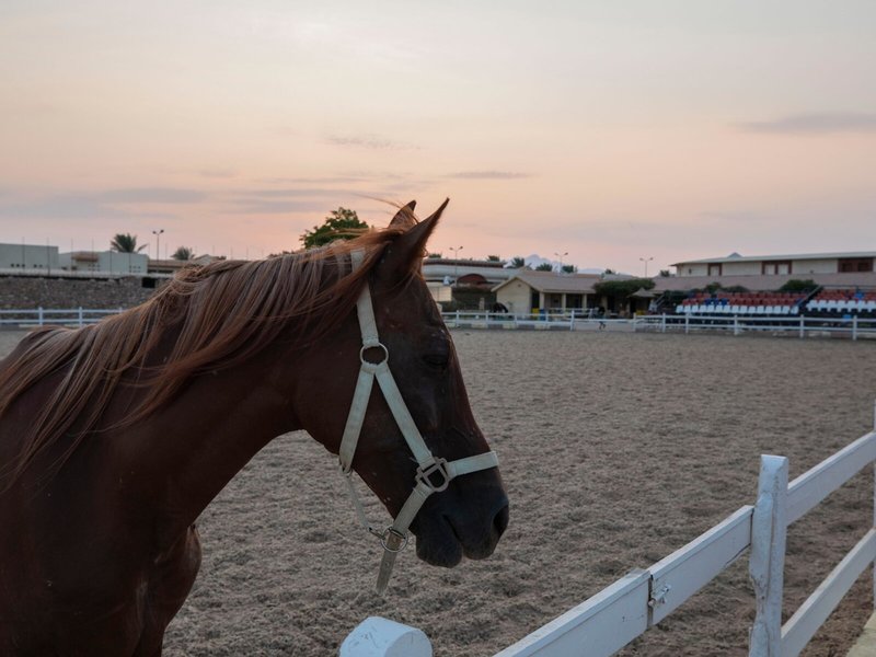 Concorde El Salam Hotel Sharm el Sheikh - Sport 4