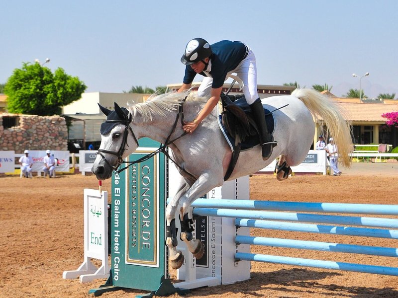 Concorde El Salam Hotel Sharm el Sheikh - Sport 17