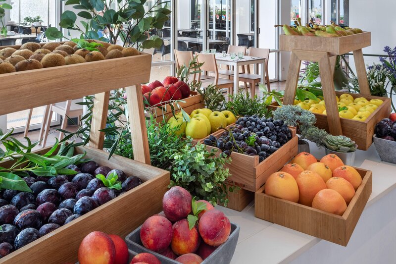 Sol Milanos Pingüinos 12