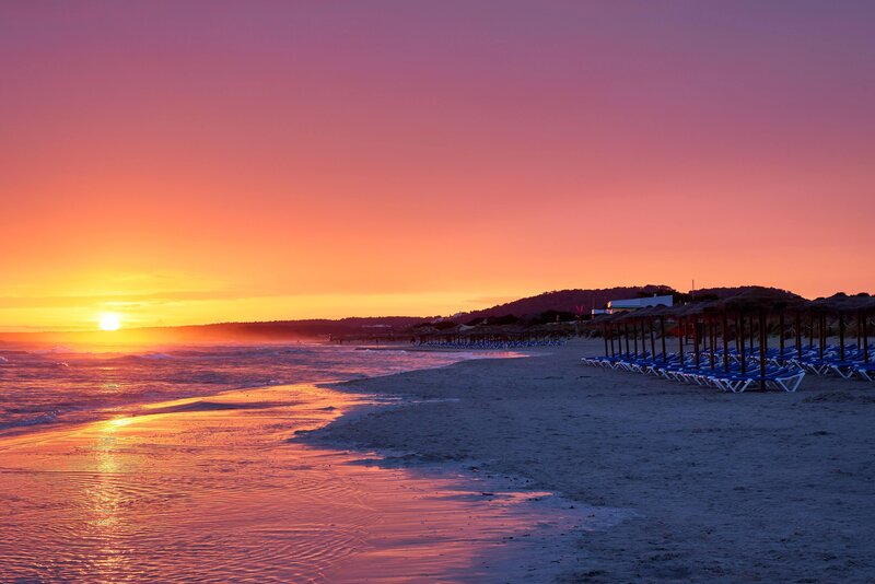 Sol Milanos Pingüinos 14