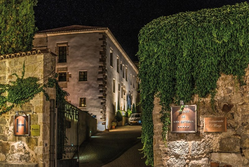 Hospes Palacio de San Esteban 2