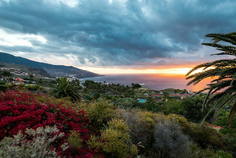 Parador de La Palma 8