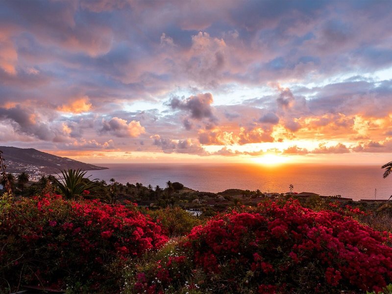 Parador de La Palma 3