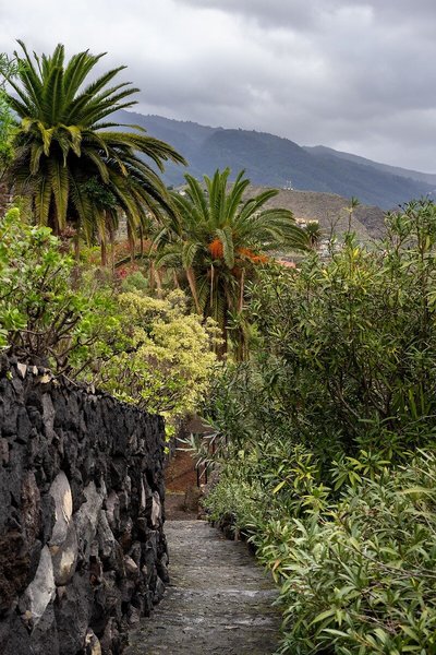 Parador de La Palma 10
