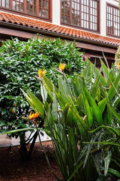 Parador de La Palma 23