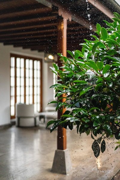 Parador de La Palma 24