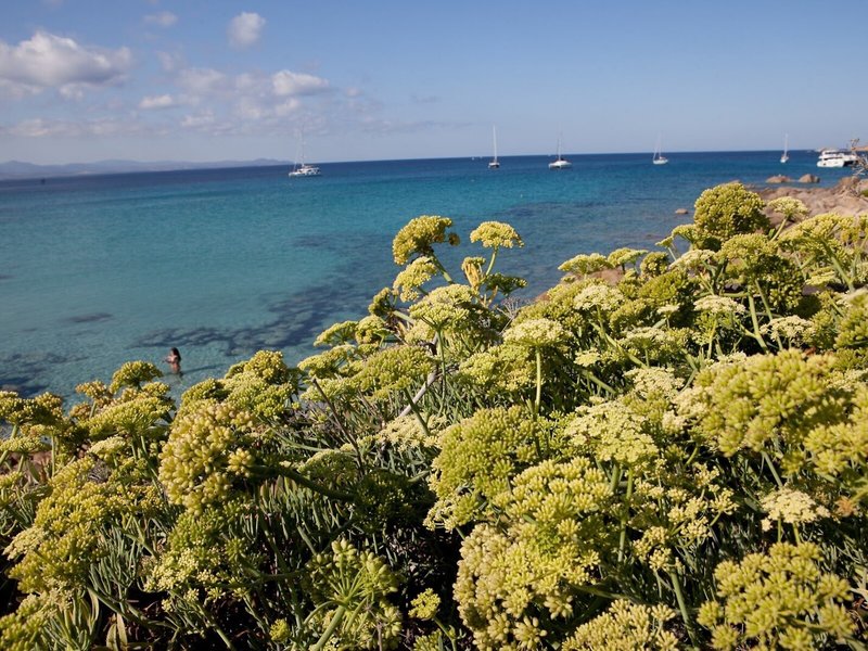 Club Esse Shardana 20