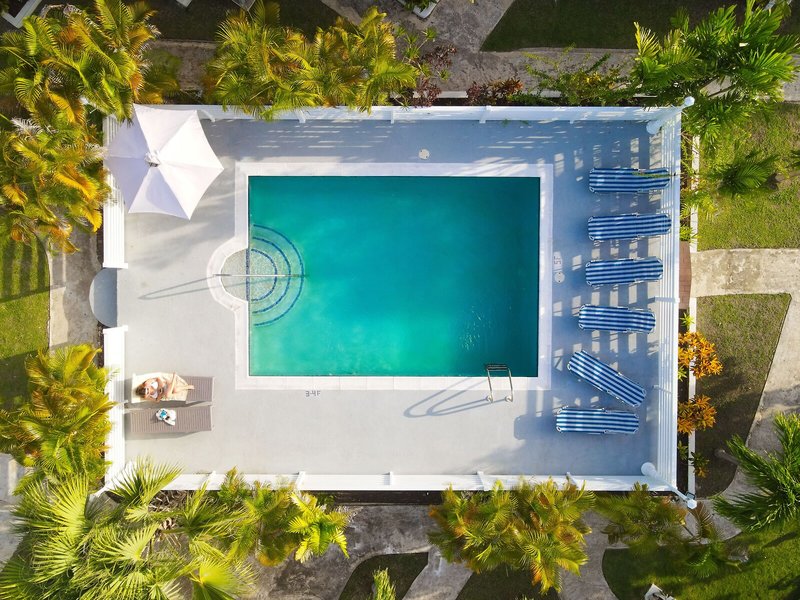 Halcyon Palms