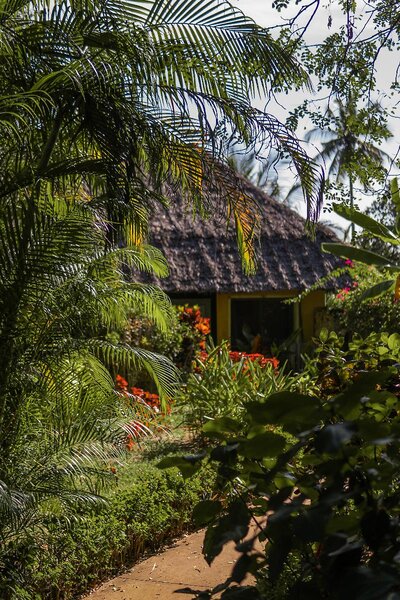 Zanzi Resort 4