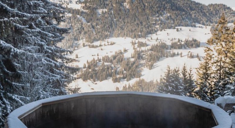 TOP Rinderberg Swiss Alpine Lodge 3